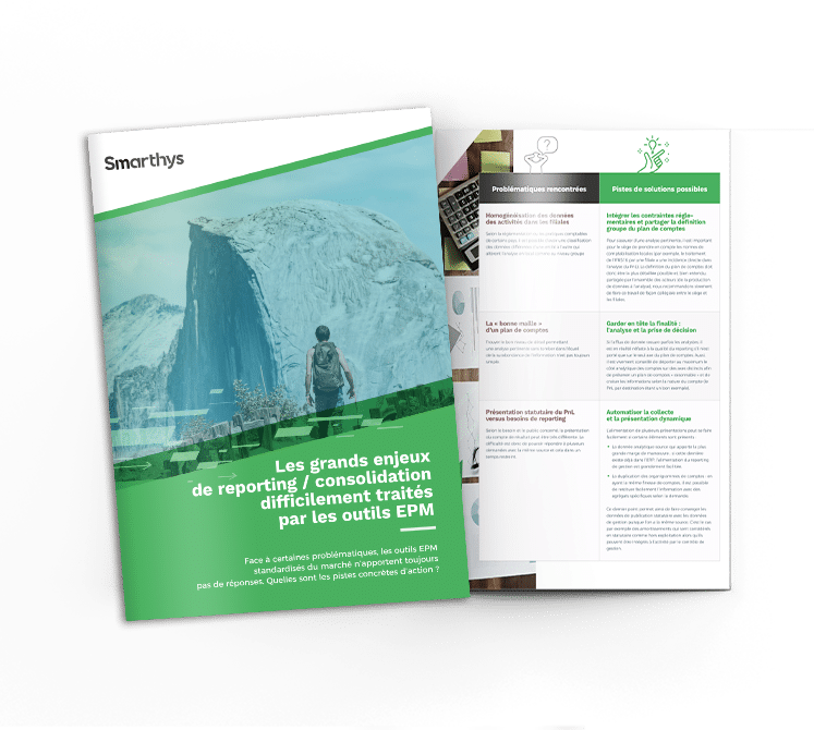 ebook les grands enjeux de reporting