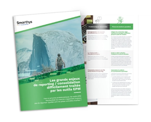 ebook les grands enjeux de reporting